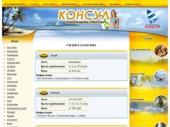 Консул